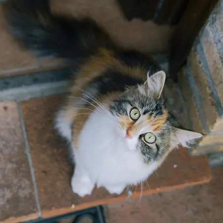 La Dell'olmo * Orvieto