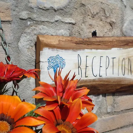 La Dell'olmo ファームステイ *