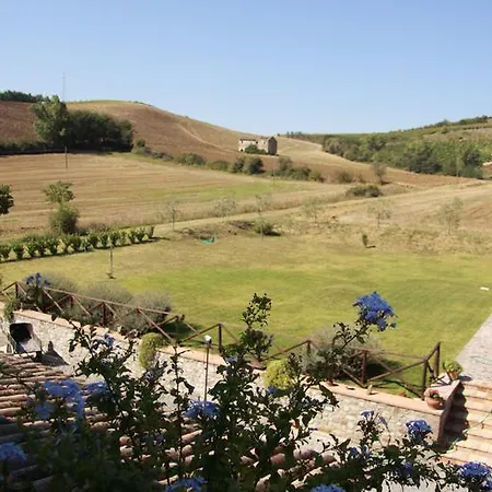 La Dell'olmo