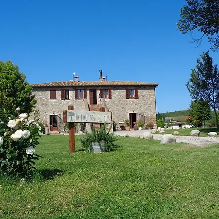 La Dell'olmo