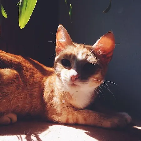 La Dell'olmo ファームステイ