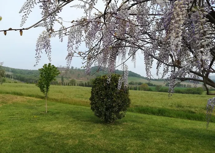 مزرعة للإقامة La Locanda Dell'olmo