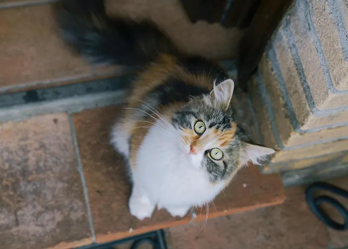 La Dell'olmo * Orvieto