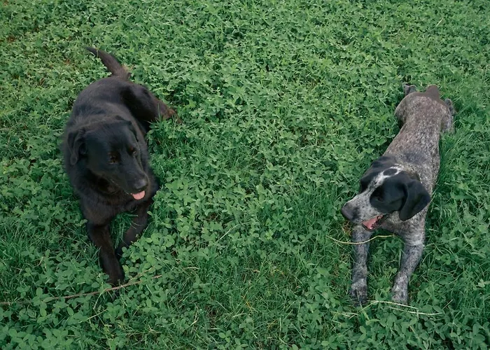 La Locanda Dell'olmo