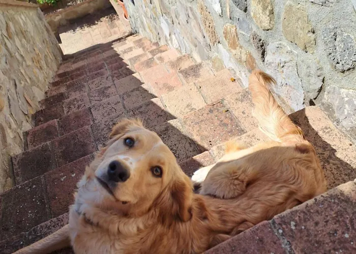 La Dell'olmo Orvieto